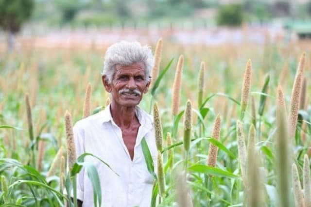 Switching from Rice to Alternative Cereals Can Boost Farmer Incomes and Climate Resilience in India