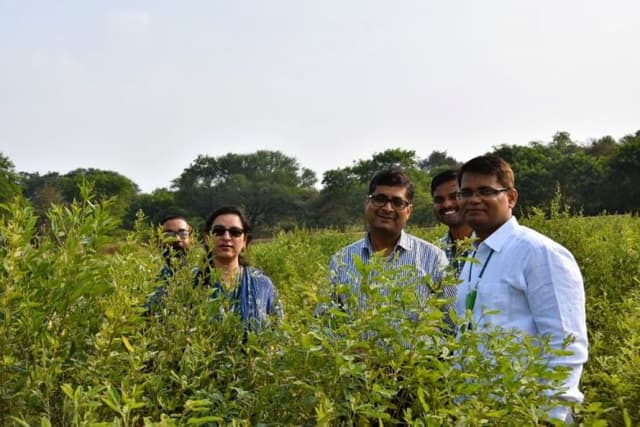 ICRISAT and Partners Discover New Gene linked to Sterility Mosaic Disease resistance in Pigeonpea