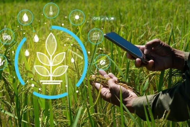 Global Public Agricultural R&amp;D  Investment Surpass $50 Billion: FAO