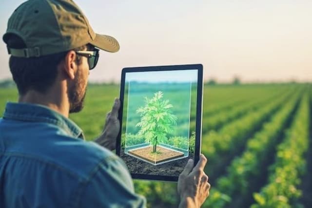 ITC Claims AI-Powered ‘Crop Doctor’ Enables Real-Time Disease Detection in 70 Crops