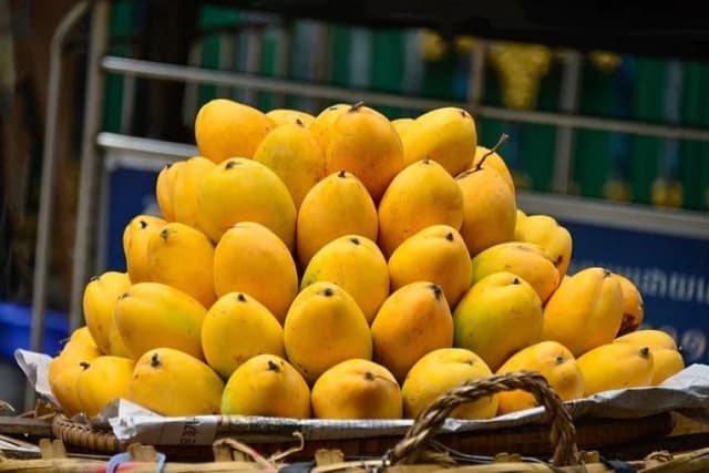 Scientists Identify Ideal Temperature to Keep Mangoes Fresh for Longer