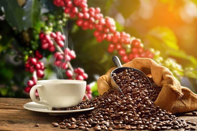 Wingsure Launches COFFEA Platform to Turn Verified Farm Data into Intelligence for Coffee Sector
