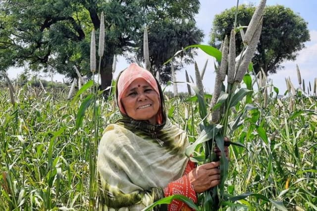 ICRISAT and Partners Announce Release of the World’s First Three-way Pearl Millet Hybrid