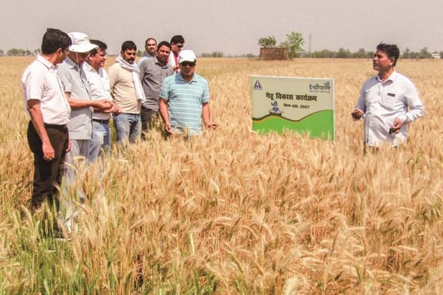 ITC earns first-ever FSA 3.0 certification for wheat, paddy sourcing