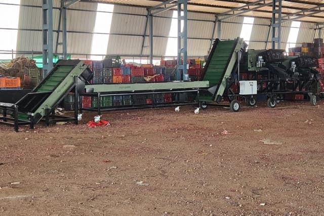 Automated Onion Grading System Cuts Manual Labour by Nearly 80% at Pimpalgaon Market